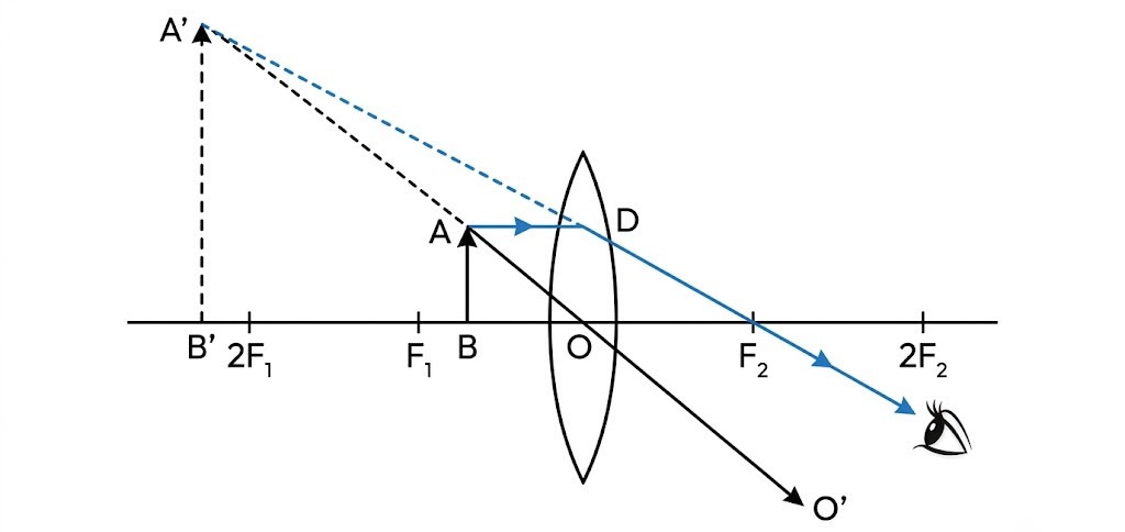 Fig. 5.36 Image formation by a convex lens for the object between the optical centre and the focus